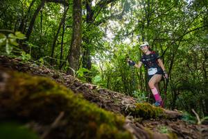 BIB: , 3409
                            <button type="button" onclick="openModal(16009084)" class="btn btn-primary btn-sm float-right btn-popup" data-toggle="modal" data-target=".modal-high-quality">
                        <i class="fas fa-shopping-cart"></i> Add to Cart
                    </button>
                                            <button type="button" onclick="isThisMe(16009084, true)" class="btn btn-success btn-sm float-right btn-popup btn-isme hidden" data-toggle="tooltip" data-placement="bottom" title="นี่คือรูปของคุณใช่ไหม คลิกที่นี่เพื่อเอาเข้าอัลบั้ม">
                        <i class="fas fa-plus"></i> Add to album
                    </button>
                    <button type="button" onclick="isThisMe(16009084, false)" class="btn btn-warning btn-sm float-right btn-popup btn-isnotme hidden">
                        <i class="fas fa-ban"></i> Remove from album
                    </button>